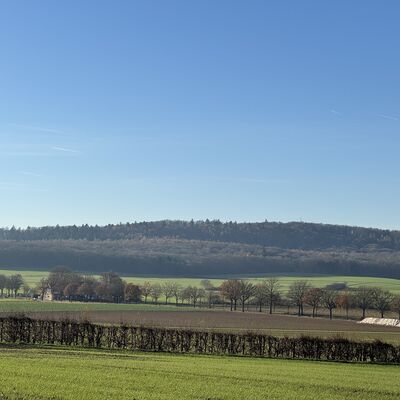 Bild vergr&ouml;&szlig;ern: M&uuml;hlenberg_Blick_Heidekrug