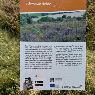 Bild vergr&ouml;&szlig;ern: Schwarze_Heide3
