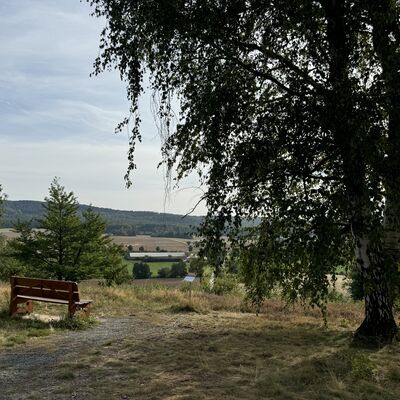Bild vergr&ouml;&szlig;ern: Schwarze_Heide_Blick_ins_Tal2