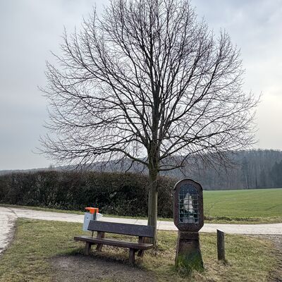 Bild vergr&ouml;&szlig;ern: R&ouml;derhof_Bank_mit_Ausblick_&uuml;ber_S&ouml;hre