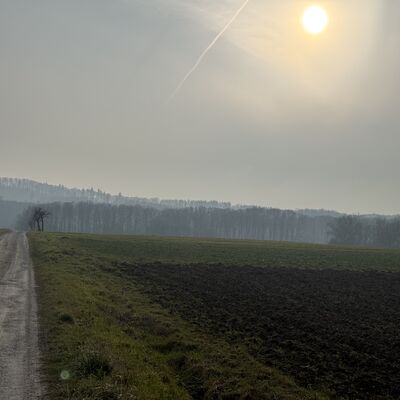 Bild vergr&ouml;&szlig;ern: R&ouml;nsitten_Weg_von_der_Bundesstra&szlig;e.jpeg