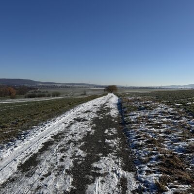 Bild vergr&ouml;&szlig;ern: Spazierweg_Trauerberg
