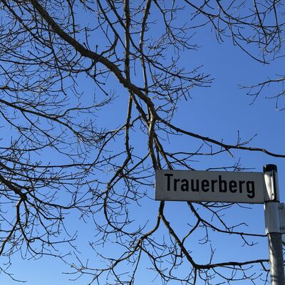 Bild vergr&ouml;&szlig;ern: Trauerberg1