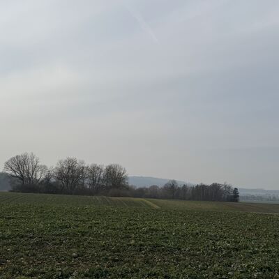 Bild vergr&ouml;&szlig;ern: R&ouml;nsitten_Blick_zum_zweiten_Teich