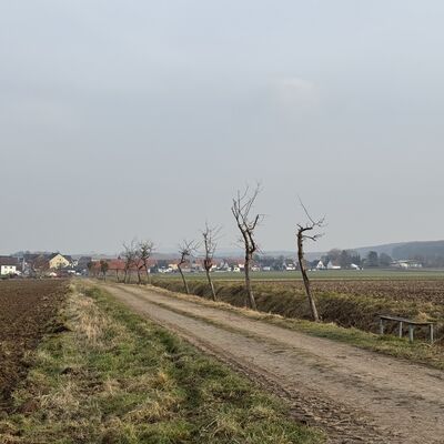 Bild vergr&ouml;&szlig;ern: R&ouml;nsitten_Weg_nach_S&ouml;hre