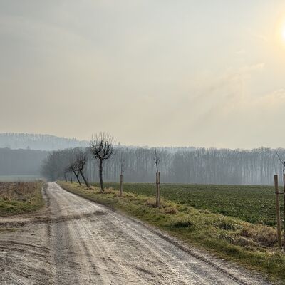 Bild vergr&ouml;&szlig;ern: R&ouml;nsitten_Weg