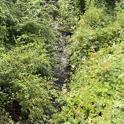 Bild vergr&ouml;&szlig;ern: Segeste_alteWasserm&uuml;hle3
