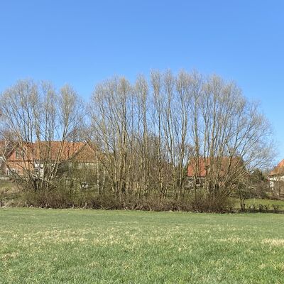 Bild vergr&ouml;&szlig;ern: Segeste3
