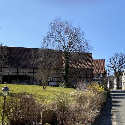 Bild vergr&ouml;&szlig;ern: Segeste13