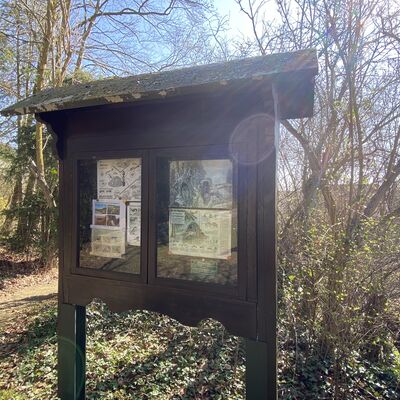 Bild vergr&ouml;&szlig;ern: StreuobstwieseGrillplatz1