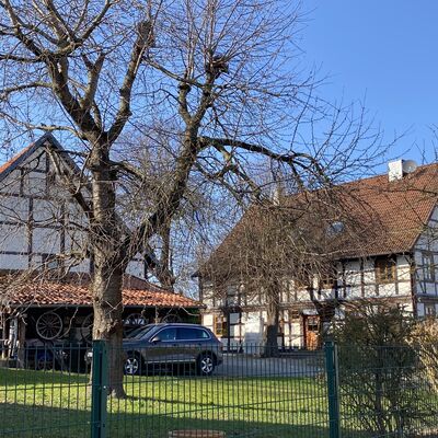 Bild vergr&ouml;&szlig;ern: Dammstr.27_2