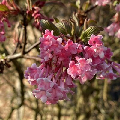 Bild vergr&ouml;&szlig;ern: Eberholzen6