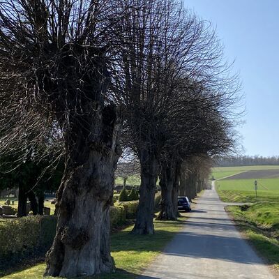 Bild vergr&ouml;&szlig;ern: Eberholzen9