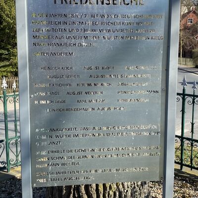 Bild vergr&ouml;&szlig;ern: Friedenseiche2