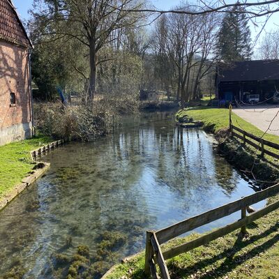 Bild vergr&ouml;&szlig;ern: Hahnbach