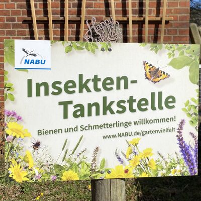 Bild vergr&ouml;&szlig;ern: Nabu_Insektentankstelle