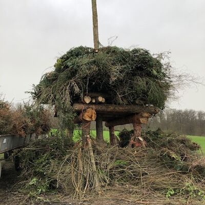 Bild vergr&ouml;&szlig;ern: Osterfeuer3