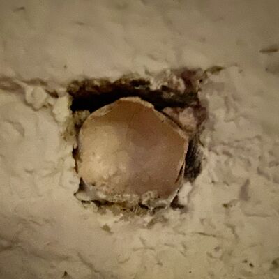 Bild vergr&ouml;&szlig;ern: St.Bartholom&auml;usTurm_Sch&auml;del2