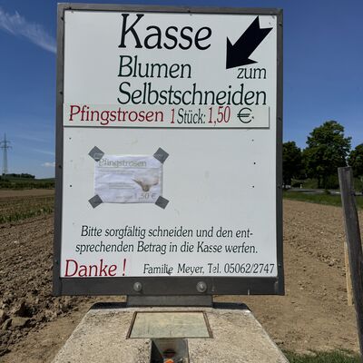 Bild vergr&ouml;&szlig;ern: Blumenfeld1