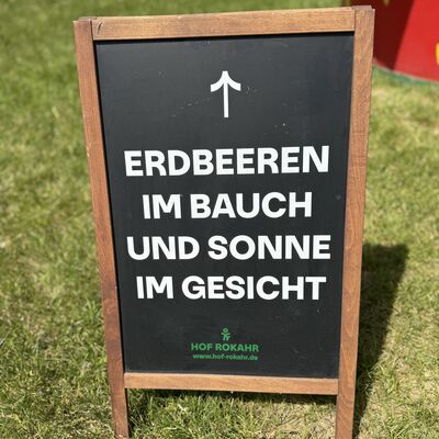 Bild vergr&ouml;&szlig;ern: Erdbeeren_Selberpfl&uuml;cken1
