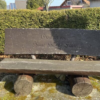 Bild vergr&ouml;&szlig;ern: Friedhof_Bank_Hanne_Haller