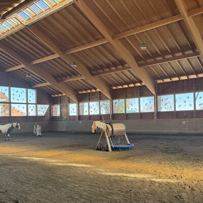 Bild vergr&ouml;&szlig;ern: Heimstatt_R&ouml;derhof_Reithalle1