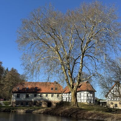 Bild vergr&ouml;&szlig;ern: Kloster_Romuald_