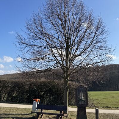 Bild vergr&ouml;&szlig;ern: R&ouml;derhof_auf_dem_Berg