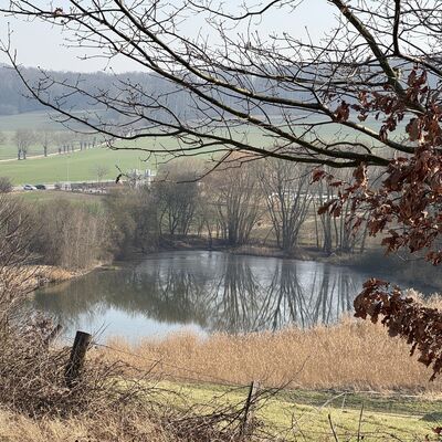 Bild vergr&ouml;&szlig;ern: Sonnenberg_Ausblick_S&uuml;den2