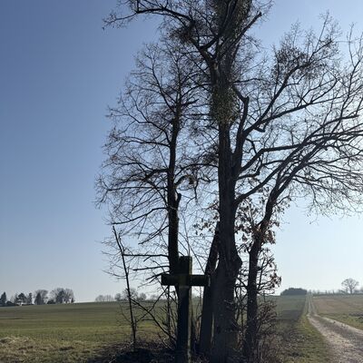 Bild vergr&ouml;&szlig;ern: Wegekreuz_Sonnenberg1