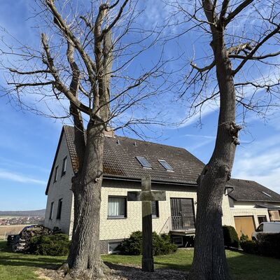 Bild vergr&ouml;&szlig;ern: Wegekreuz_Stadtweg