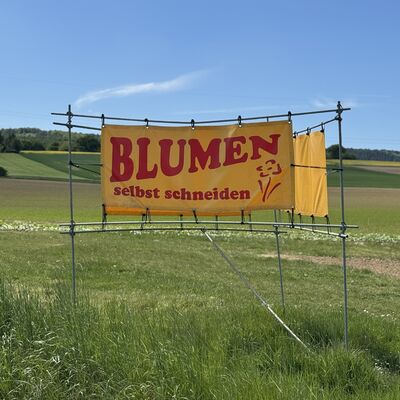 Bild vergr&ouml;&szlig;ern: Blumenfeld