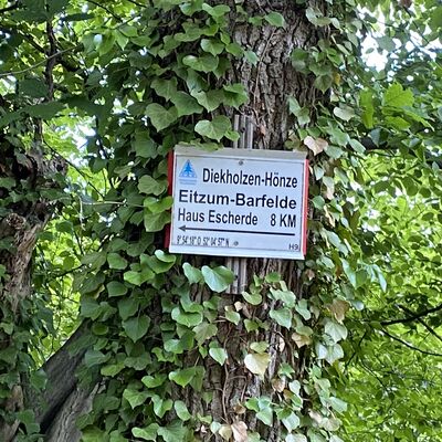 Bild vergr&ouml;&szlig;ern: Wanderweg