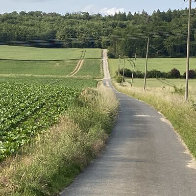 Bild vergr&ouml;&szlig;ern: Weg zum Roten Berg1