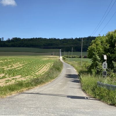 Bild vergr&ouml;&szlig;ern: Weg zum Roten Berg3
