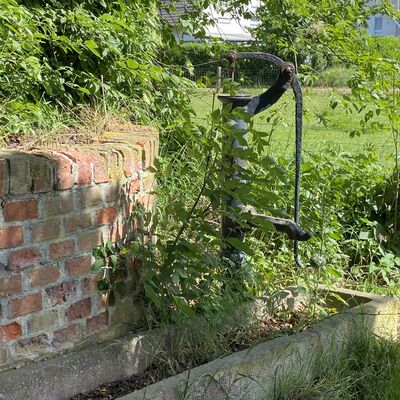 Bild vergr&ouml;&szlig;ern: alteBurgBrunnen mit Pumpe1