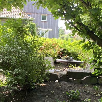Bild vergr&ouml;&szlig;ern: Zaubergarten1
