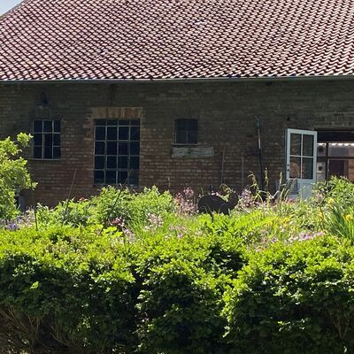 Bild vergr&ouml;&szlig;ern: Zaubergarten4