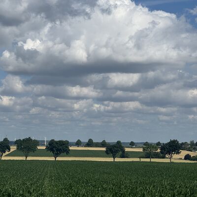 Bild vergr&ouml;&szlig;ern: Baumlehrpfad1