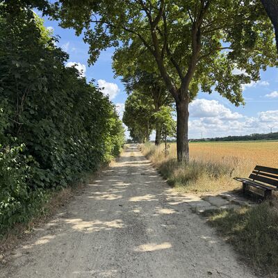 Bild vergr&ouml;&szlig;ern: Baumlehrpfad2