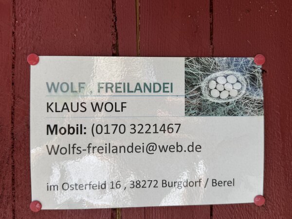 Bild vergr&ouml;&szlig;ern: Freilandeier