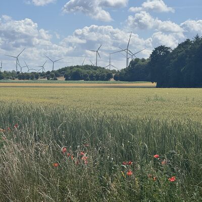 Bild vergr&ouml;&szlig;ern: Windr&auml;der_&uuml;berall