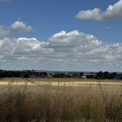 Bild vergr&ouml;&szlig;ern: Blick_aufS&ouml;hlde2