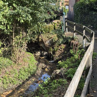 Bild vergr&ouml;&szlig;ern: Westerbach