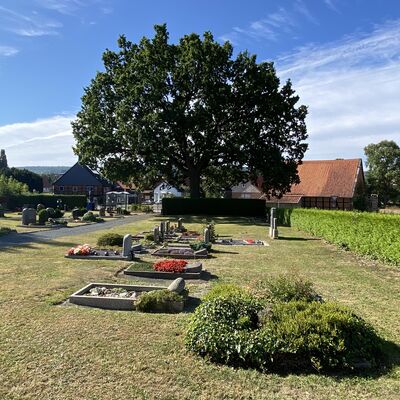 Bild vergr&ouml;&szlig;ern: Friedhof2