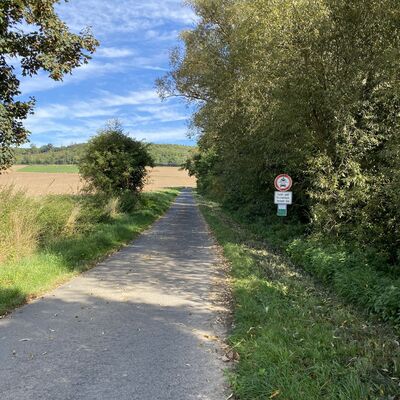 Bild vergr&ouml;&szlig;ern: Wanderweg Holzweg