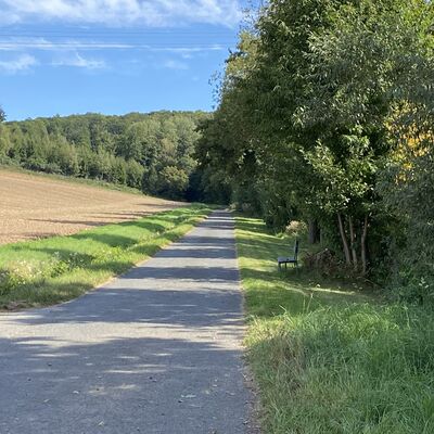 Bild vergr&ouml;&szlig;ern: Wanderweg Riesebachweg2