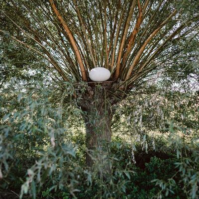 Bild vergr&ouml;&szlig;ern: NILS-UDO Die Weide 2