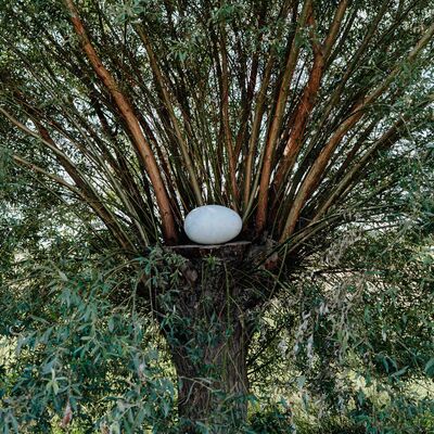 Bild vergr&ouml;&szlig;ern: NILS-UDO Die Weide 4