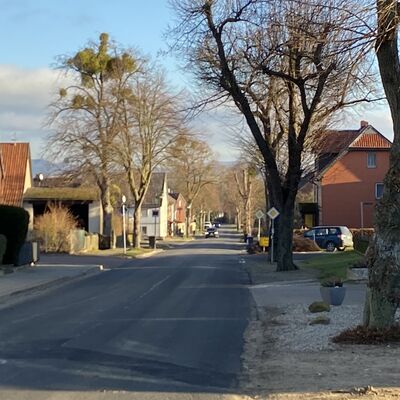 Bild vergr&ouml;&szlig;ern: Adenstedt20